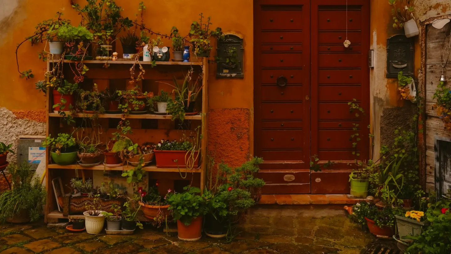 Potted plants displayed on shelves next to a red door