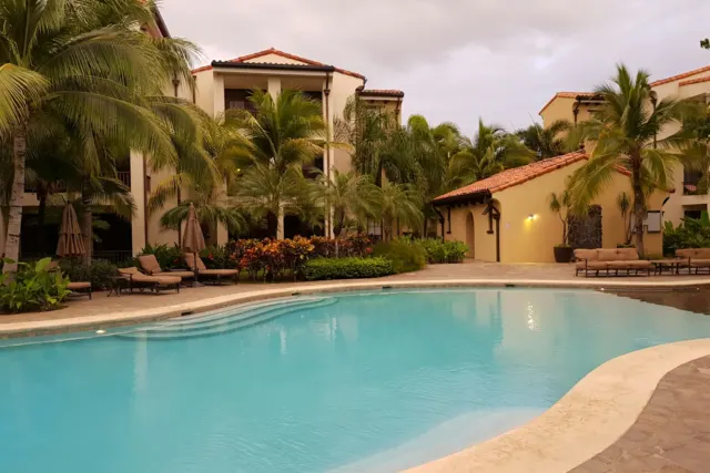 swimming pool near green palm trees during daytime
