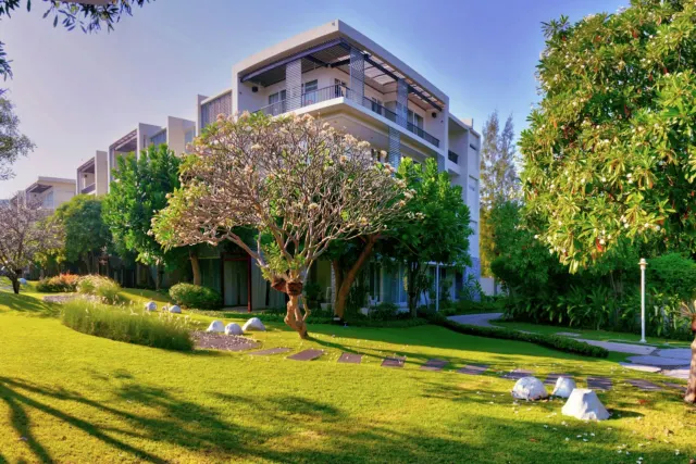 green tree in front of white concrete building